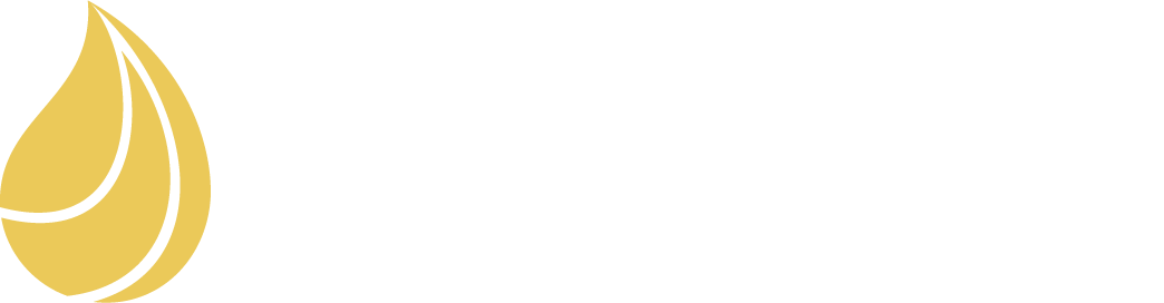 Blazing Trail Wealth Advisors